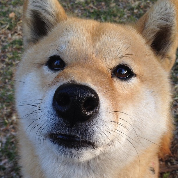 体测标准落地推动学校体育常态化，学校体质测试实施方案
