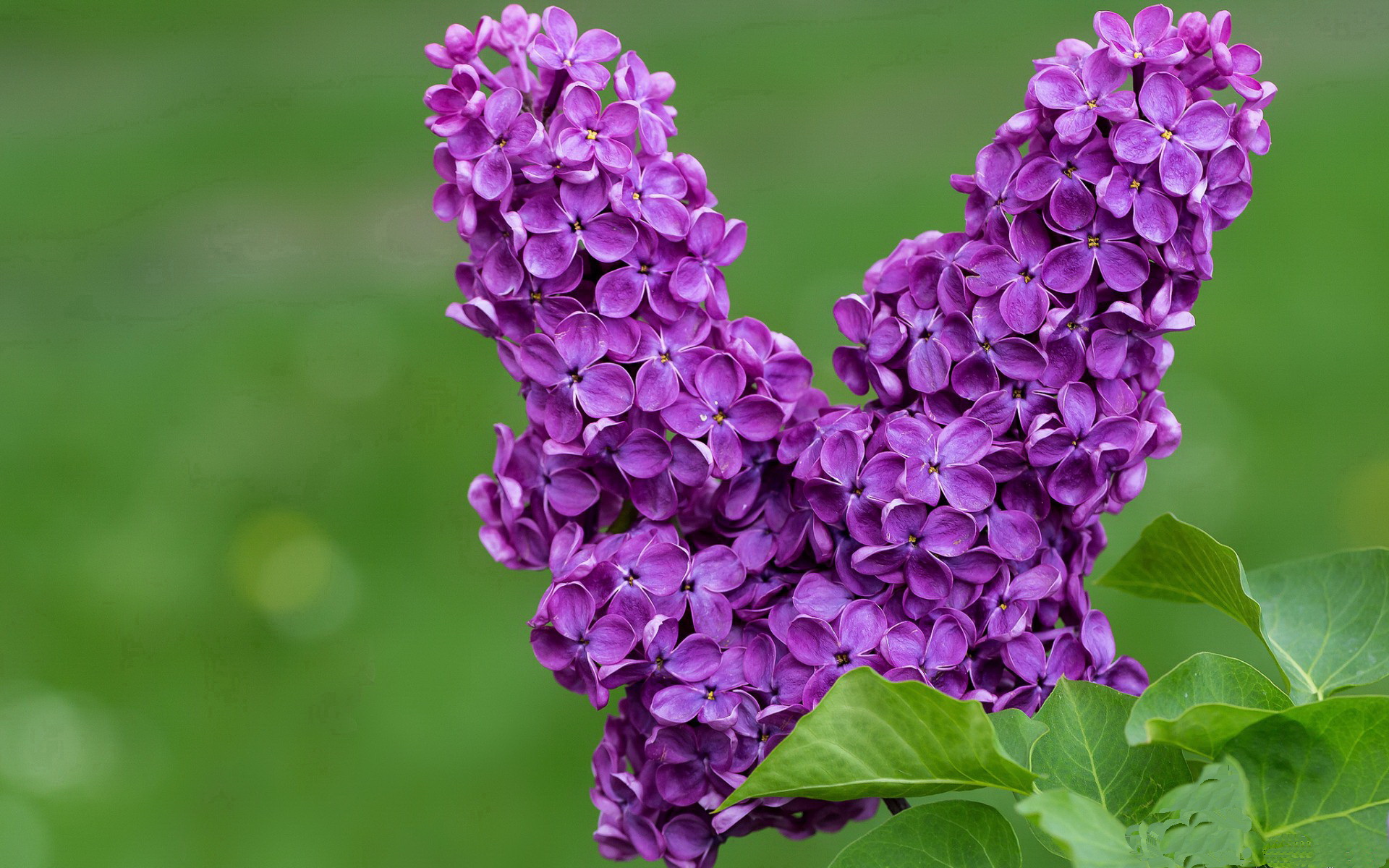 俱乐部青训资金投入不足,足球青训队资金申请