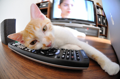 中超联赛中国女足夺冠 球迷兴奋不已，中超女足联赛赛程